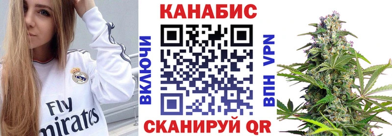 как найти закладки  ОМГ ОМГ tor  Бошки марихуана ГИДРОПОН  Махачкала 